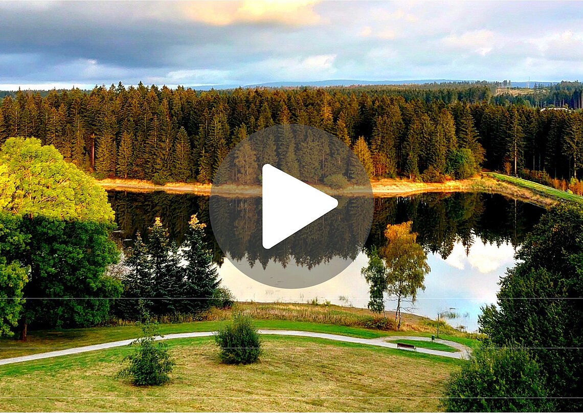 Landschaftsansicht des Rehazentrums Oberharz mit einem See, umgeben von Wäldern.