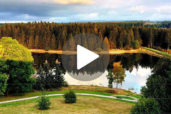 Landschaftsansicht des Rehazentrums Oberharz mit einem See, umgeben von Wäldern.