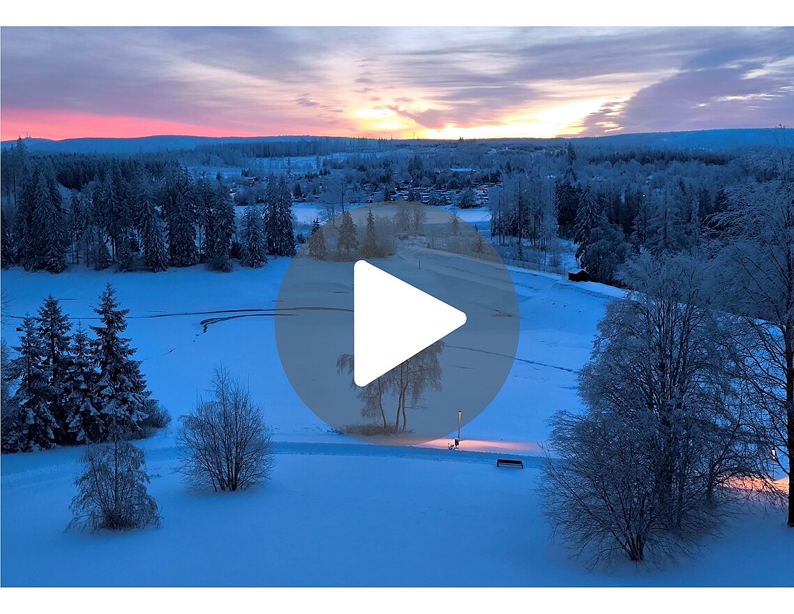 Winterlandschaft bei Sonnenuntergang mit schneebedeckten Bäumen und einem ruhigen See